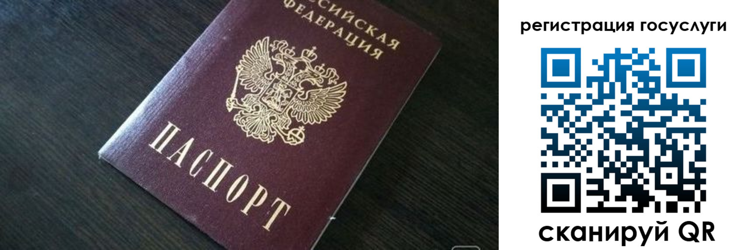 прописка ребенка в Калининграде